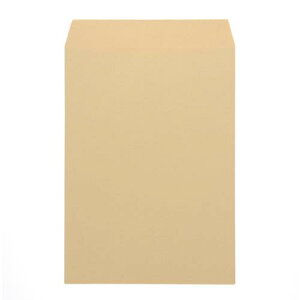 yXz11/5`11/11܂Ń|Cg5{II240x332mm/p2 Ntg(e[vt/X֘gȂ