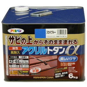 y|Cg10{z12/1̓_tf[IAP ϋvANg^ 6KG XJCu[