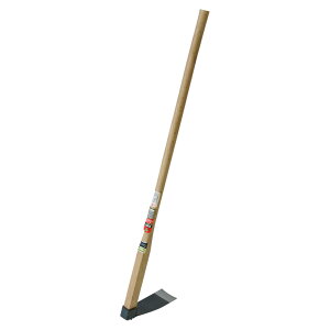 y|Cg10{zyVX[p[SAIL(12/4~12/11) vGg[  bL  t #70054