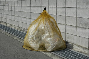 y|Cg10{z11/20~11/27 ubNtCf[x|CgAbv(vGg[) ~cM EG-40 JXm̃S~lbg