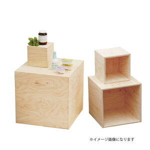 y|Cg5{z10/4~10/9JÁI}\(vGg[) }R[ #55813 HP 5ʑDP BOXh15cm
