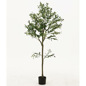 y|Cg10{zyVX[p[SAIL(12/4~12/11) vGg[ sf tFCNO[ I[u 150cm WCg CeA GNXeA   V l炵  [ [