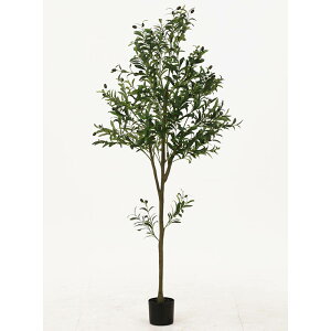 y|Cg10{zyVX[p[SAIL(12/4~12/11) vGg[ sf tFCNO[ I[u 180cm WCg CeA GNXeA   V l炵  [ [