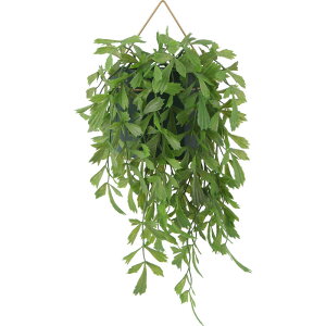 y|Cg5{z10/24~10/27JÁI}\(vGg[) sf tFCNO[ NWNV nMO CeA GNXeA   V l炵  