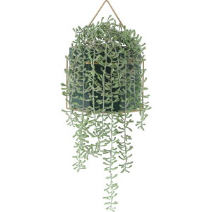 y|Cg10{zyVX[p[SAIL(12/4~12/11) vGg[ sf tFCNO[ ~JdLlbNX nMO CeA GNXeA   V l炵  [