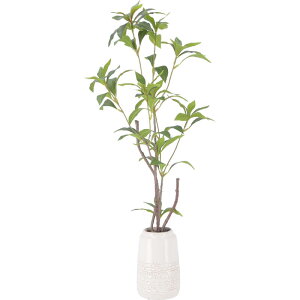 y|Cg5{z10/24~10/27JÁI}\(vGg[) sf tFCNO[ MNZC Z~bN|bg CeA GNXeA   V l炵 