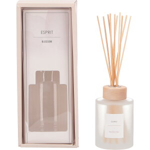 y|Cg10{z12/1̓_tf[Isf GXv 300ml ubTyF4zGNXeA CeA Ƌ V G z[