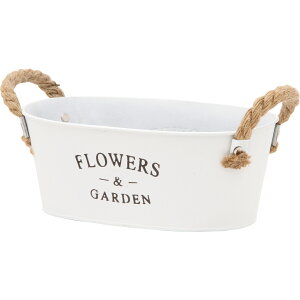 y|Cg10{zyVX[p[SAIL(12/4~12/11) vGg[ sf t[vg oPcI[o M WHyF5zGNXeA CeA Ƌ V G z[