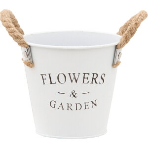 y|Cg10{zyVX[p[SAIL(12/4~12/11) vGg[ sf t[vg oPcEhS WHyF5zGNXeA CeA Ƌ V G z[