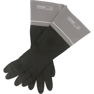 y|Cg10{zyVX[p[SAIL(12/4~12/11) vGg[ sf LBebNXO[u ubNyF6zGNXeA CeA Ƌ V G z[