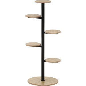 y|Cg10{zyVX[p[SAIL(12/4~12/11) vGg[ sf fBXvCX^h BKyF1zGNXeA CeA Ƌ V G z[