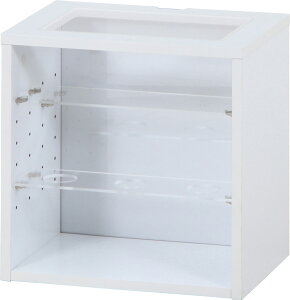 y|Cg10{z12/1̓_tf[Isf [{bNX y1z 19240 CeA GNXeA   V l炵  [