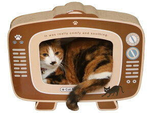 y|Cg10{z11/1̓_tf[Isf L̒܂Ƃ er (54223) y2z 68128 CeA GNXeA   V l炵  [