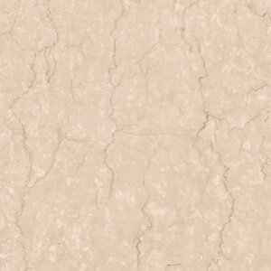 y|Cg10{zyVX[p[SAIL(12/4~12/11) vGg[ NAGATA RۃNectA XNGA KOH-152 CeA  8