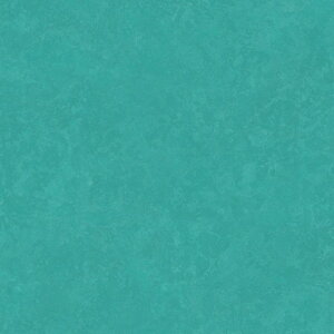 y|Cg10{zyVX[p[SAIL(12/4~12/11) vGg[ NAGATA RۃNectA XNGA KOH-171 CeA  8