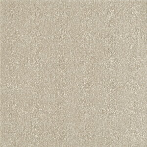 y|Cg10{z11/20~11/27 ubNtCf[x|CgAbv(vGg[)  XNGA2400 \ p[ 10 CeA 