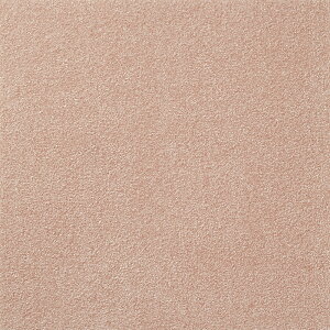 y|Cg10{z11/20~11/27 ubNtCf[x|CgAbv(vGg[)  XNGA2400 \ [ 10 CeA 