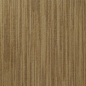 y|Cg10{z12/1̓_tf[I XNGA4200 XYJX R 10 CeA 