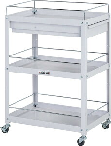 yXz11/5`11/11܂Ń|Cg5{IIy@lzyh~E̎[ɁzRrjS R{~߁ELrlbgt3i WCFC-3-P