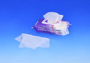 y|Cg10{z11/1̓_tf[I CcL Cp[4AjE15x20cm100×24    O[u