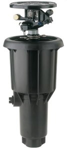 y|Cg10{z11/20~11/27 ubNtCf[x|CgAbv(vGg[) RAINBIRD CpNgXvN[ MAXI|PAW B0690008 St Z _