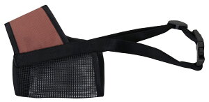 �y�|�C���g10�{�z12/19�`12/26 �労�Ӎ�!! ���v�G���g���[ ������Ѓy�e�B�I �\�t�g���� 3�� ���L�p�i ���� ���� AS53102