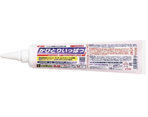 y|Cg5{z9/19~9/24JÁI}\(vGg[) ؖH Ɩp JrƂꔭ 500g WF gC 