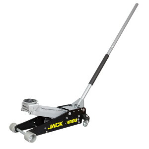 ���|�C���g10�{�� 4/14~4/17 ���������}���\��(�v�G���g���[) �Ᏸ�^�A���~�E�X�`�[���W���b�L 3t JACK3000