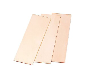 ���|�C���g10�{�� �y�V�X�[�p�[SAIL(6/4~6/11) ���v�G���g���[ �P�j�X ���� 360×400mm