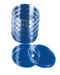 y|Cg10{z12/1̓_tf[ICiEIveBJ ŋۃV[(BIO-BIK) [^-500