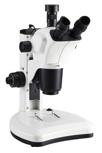 y|Cg10{z11/1̓_tf[IPjX PjX{Y[̌ XTL