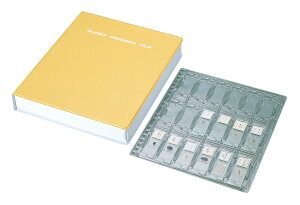 y|Cg10{zyVX[p[SAIL(12/4~12/11) vGg[ PjX vp[gt@C PT