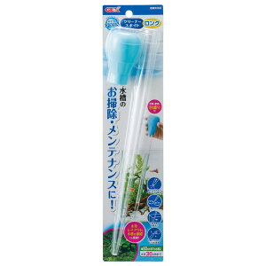 y|Cg10{z11/1̓_tf[IWFbNX N[i[X|Cg O