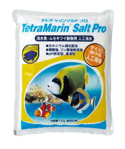 y|Cg10{zyVX[p[SAIL(12/4~12/11) vGg[ XyNg uY Wpiegj lHCieg}\gvj 00100744 CtTCGXE EA