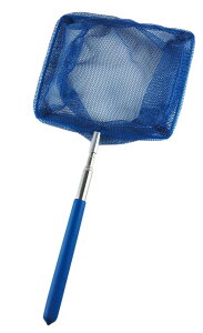 yXz11/5`11/11܂Ń|Cg5{IIANAEp CtTCGXE EA ԁEpi