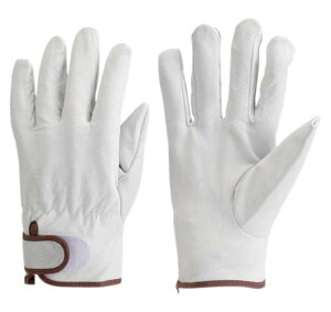 yXz11/5`11/11܂Ń|Cg5{IIgXRR ؖ{v 836-4794 N[EEی  ϐؑn