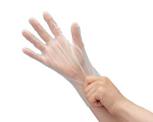 y|Cg10{z11/1̓_tf[IV[O[u O[uiꂢȎiRjj N[EEی  |G`