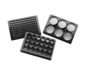 ���|�C���g10�{�� 5/9~5/16 ���������}���\��(�v�G���g���[) �R�[�j���O Corning Elplasia�v���[�g 4442 ���C�t�T�C�G���X�E���� �|�{ �|�{�e��