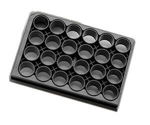 ���|�C���g10�{�� �y�V�X�[�p�[SAIL(3/20~3/26) ���v�G���g���[ �R�[�j���O Corning Elplasia�v���[�g 4441 ���C�t�T�C�G���X�E���� �|�{ �|�{�e��