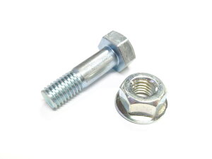 y|Cg10{z11/20~11/27 ubNtCf[x|CgAbv(vGg[) Yi I[bNn}[iCtpt{g Molibg _ |