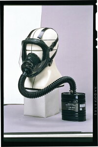 y|Cg10{z11/20~11/27 ubNtCf[x|CgAbv(vGg[) RNS uhŃ}XN GM161iMj qgsܕtr 1 GM161