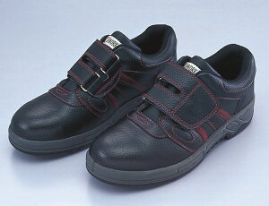 y|Cg10{z11/1̓_tf[IRNS Z[teBV[Y JW|755ZC}WbN 26D5cm 1 JW-755