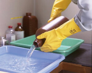 �y�|�C���g10�{�z12/19�`12/26 �労�Ӎ�!! ���v�G���g���[ �R�N�S �|���G�`�������SD�|1000 LL 1�o SD-1000