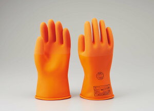 y|Cg10{z11/1̓_tf[IRNS GebNX NoD501 L 1o 501