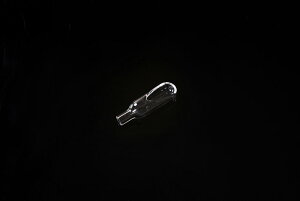 y|Cg10{zyVX[p[SAIL(12/4~12/11) vGg[ }CNʎM[g ő啝xS(cm):1.0x3.5 5/ RD311010