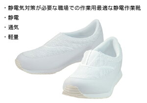 y|Cg10{z11/20~11/27 ubNtCf[x|CgAbv(vGg[) ƌC ABICAiArJj880-WH-235 ArJ#880 zCg 23.5cm