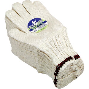 y|Cg5{z11/14~11/16JÁIyVC[OXӍ × |CgAbv(vGg[)ȌR 8500 JtX5{ 780g t[TCY 10_[X