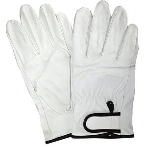 y|Cg10{z11/20~11/27 ubNtCf[x|CgAbv(vGg[) ؊v KS350 ؃NXg }WbN LLTCY 10o