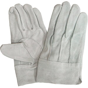 y|Cg10{zyVX[p[SAIL(12/4~12/11) vGg[ v 481 wD  LLTCY 10o