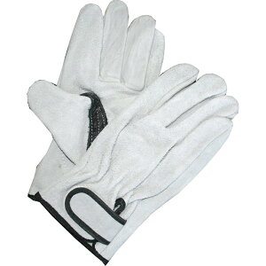 y|Cg10{zyVX[p[SAIL(12/4~12/11) vGg[ v 821 }WbN LTCY 10o